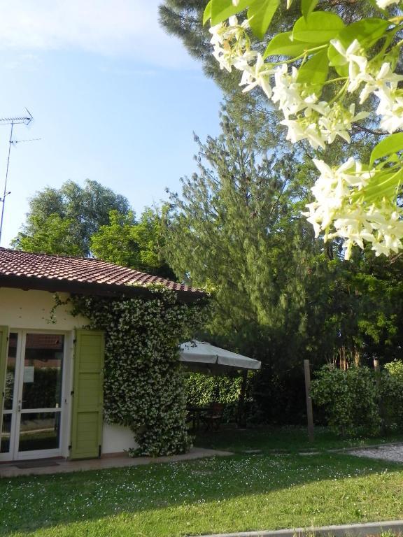 Caterina Residence Faenza Eksteriør billede