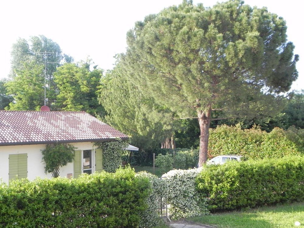 Caterina Residence Faenza Eksteriør billede